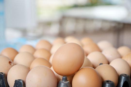 Como determinar o frescor dos ovos: várias formas conhecidas