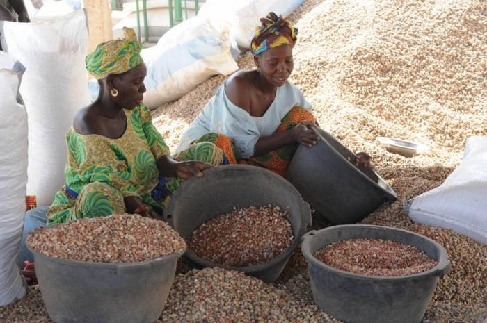 Por que o Senegal é chamado de república de amendoim: um pouco de história e economia