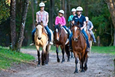 Andar a cavalo, Ekaterinburg: características, endereços e opiniões